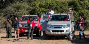 Isuzu Rhino