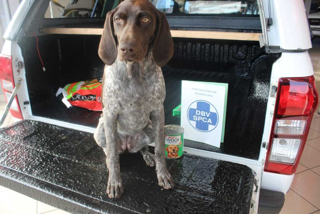 CMH Isuzu East Rand- SHADOW-COLLECTING-FOR-SPCA1